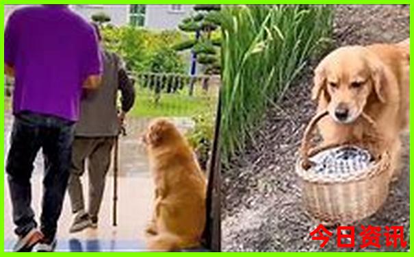 5岁儿童旅游最佳去处